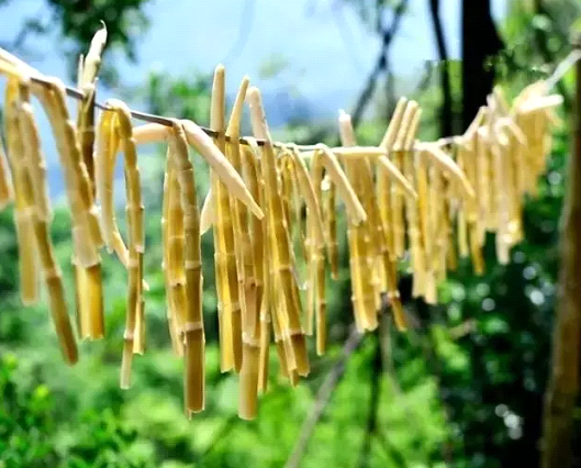 吃春笋，不可辜负的至鲜皖味